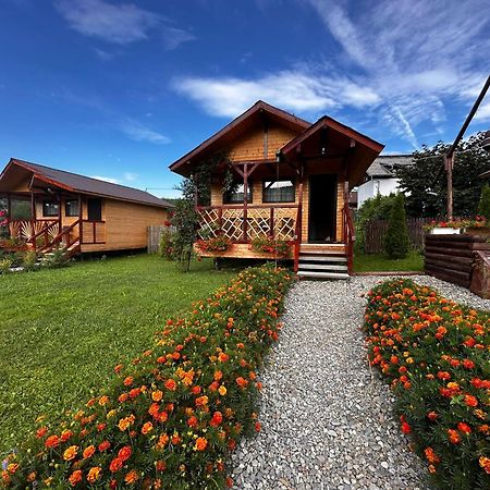Curtea de ArgeşBaltina Parc Transfagarasan别墅 外观 照片