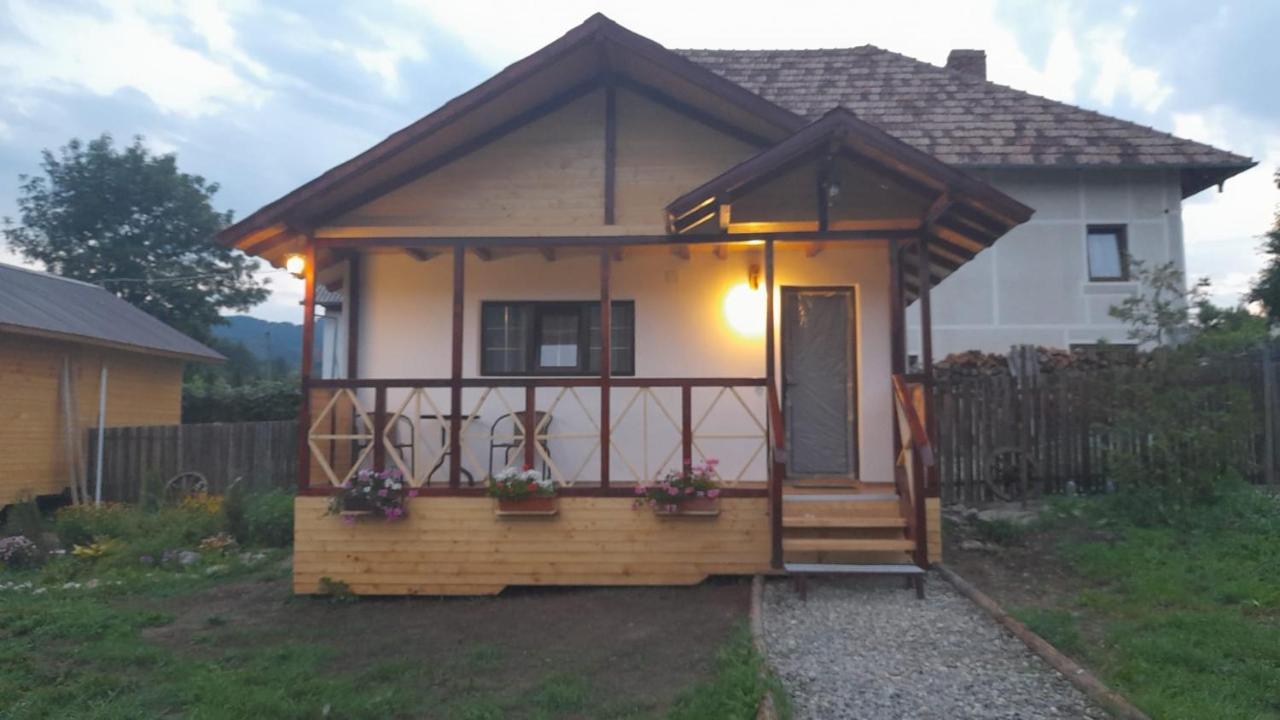 Curtea de ArgeşBaltina Parc Transfagarasan别墅 外观 照片