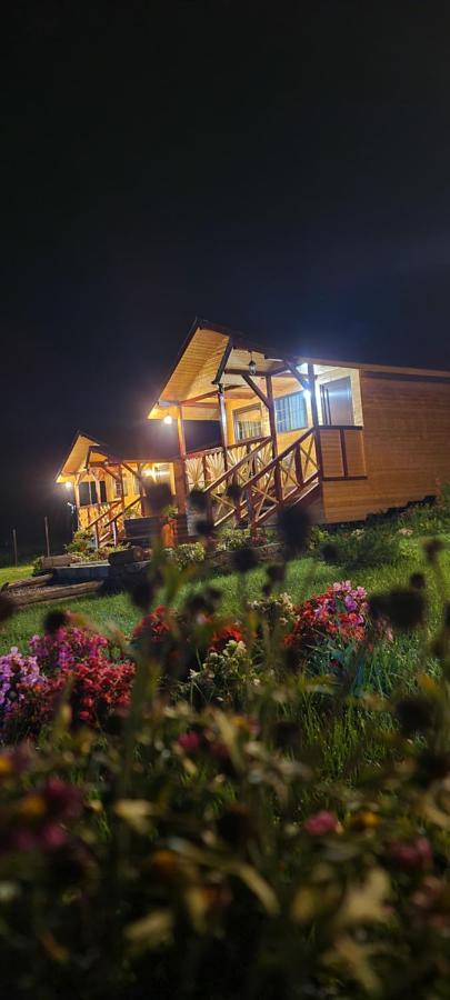 Curtea de ArgeşBaltina Parc Transfagarasan别墅 外观 照片