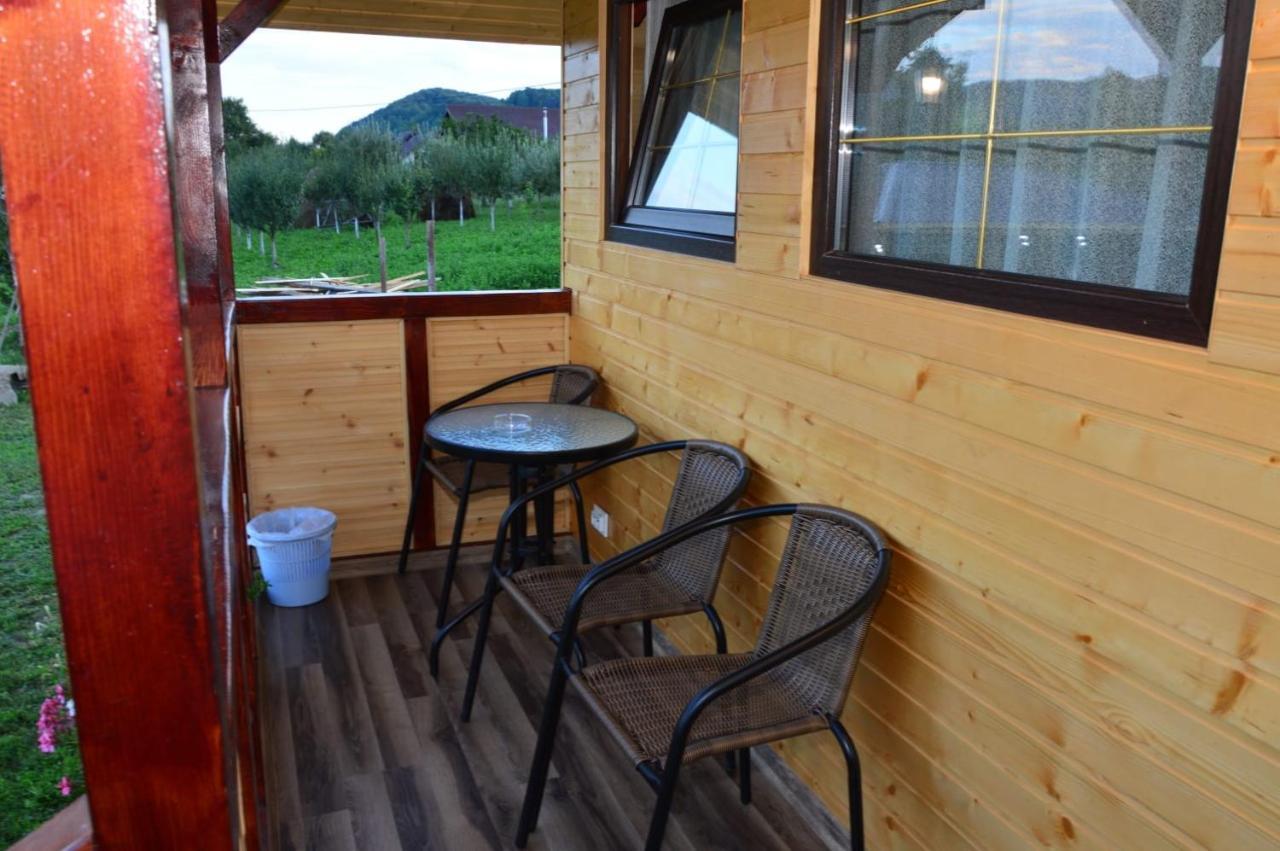 Curtea de ArgeşBaltina Parc Transfagarasan别墅 外观 照片