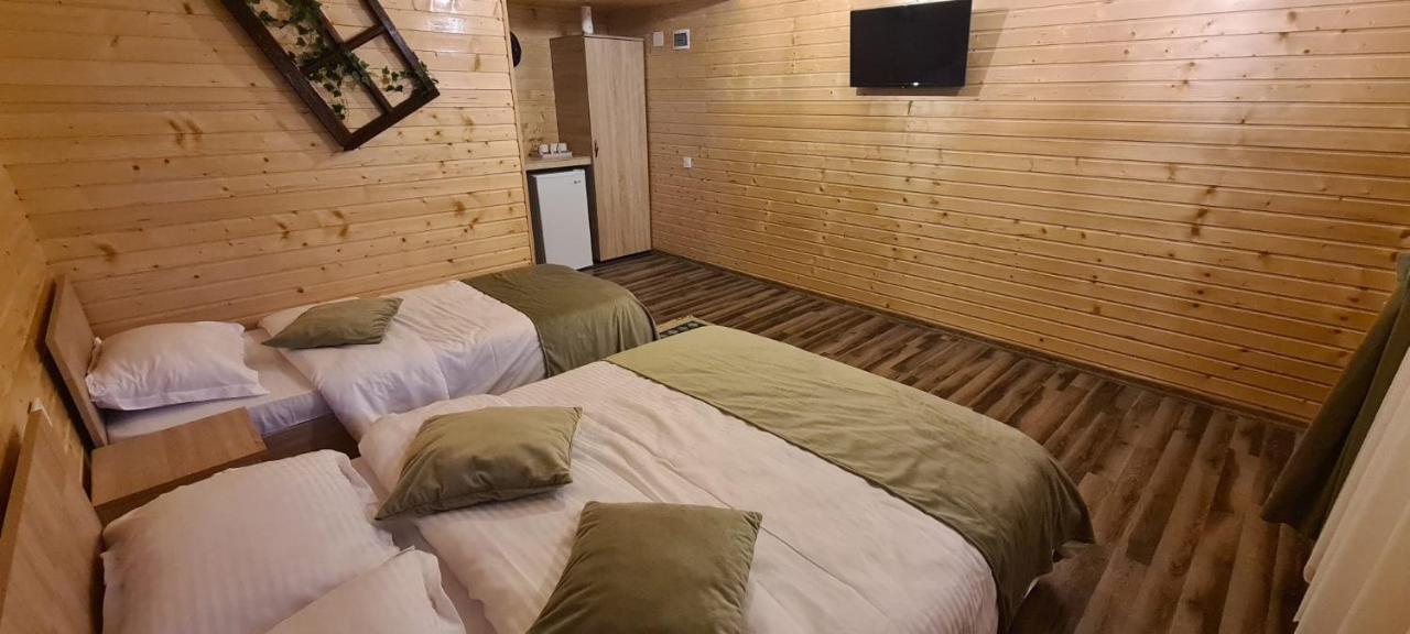 Curtea de ArgeşBaltina Parc Transfagarasan别墅 外观 照片