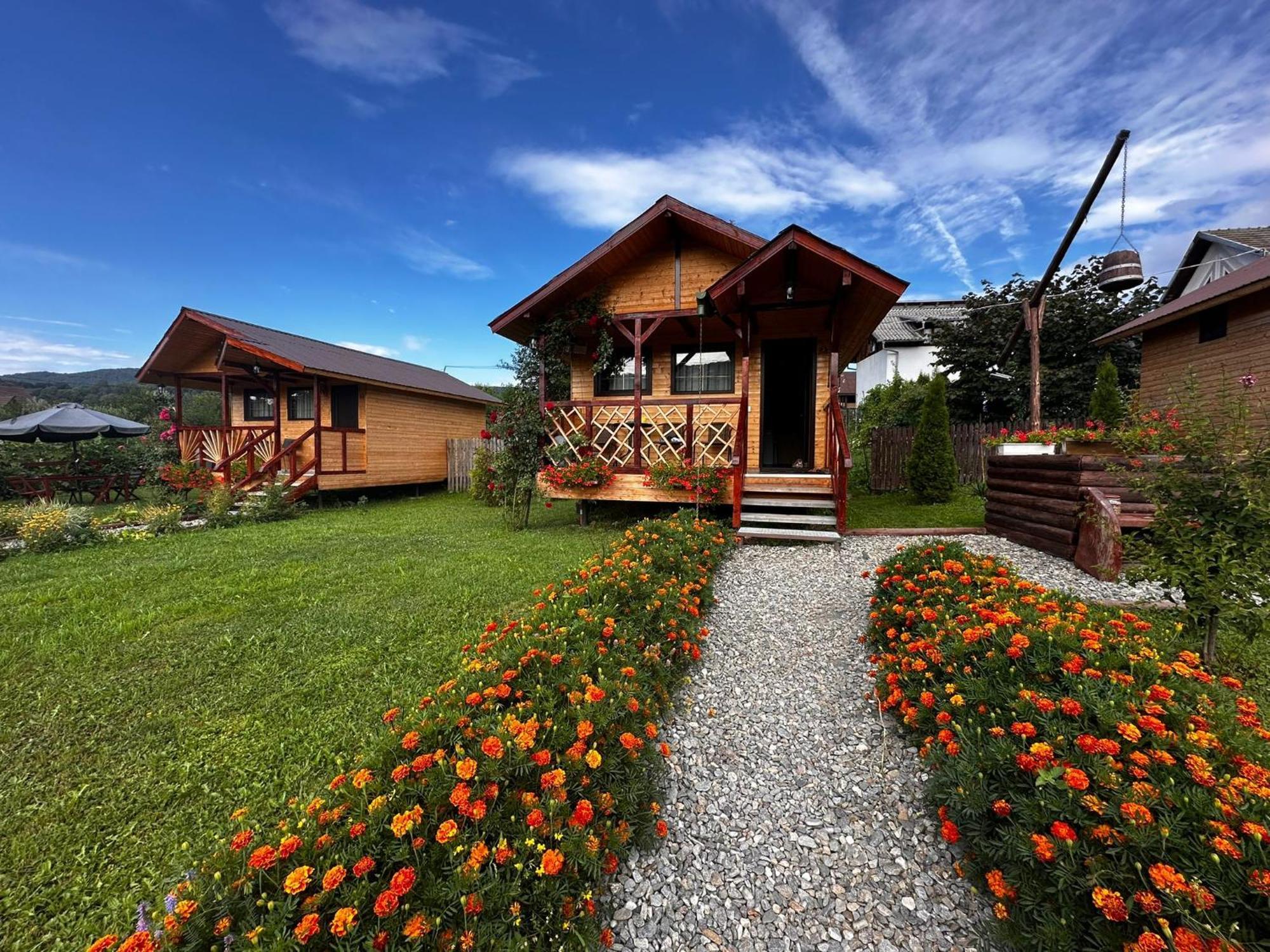 Curtea de ArgeşBaltina Parc Transfagarasan别墅 外观 照片