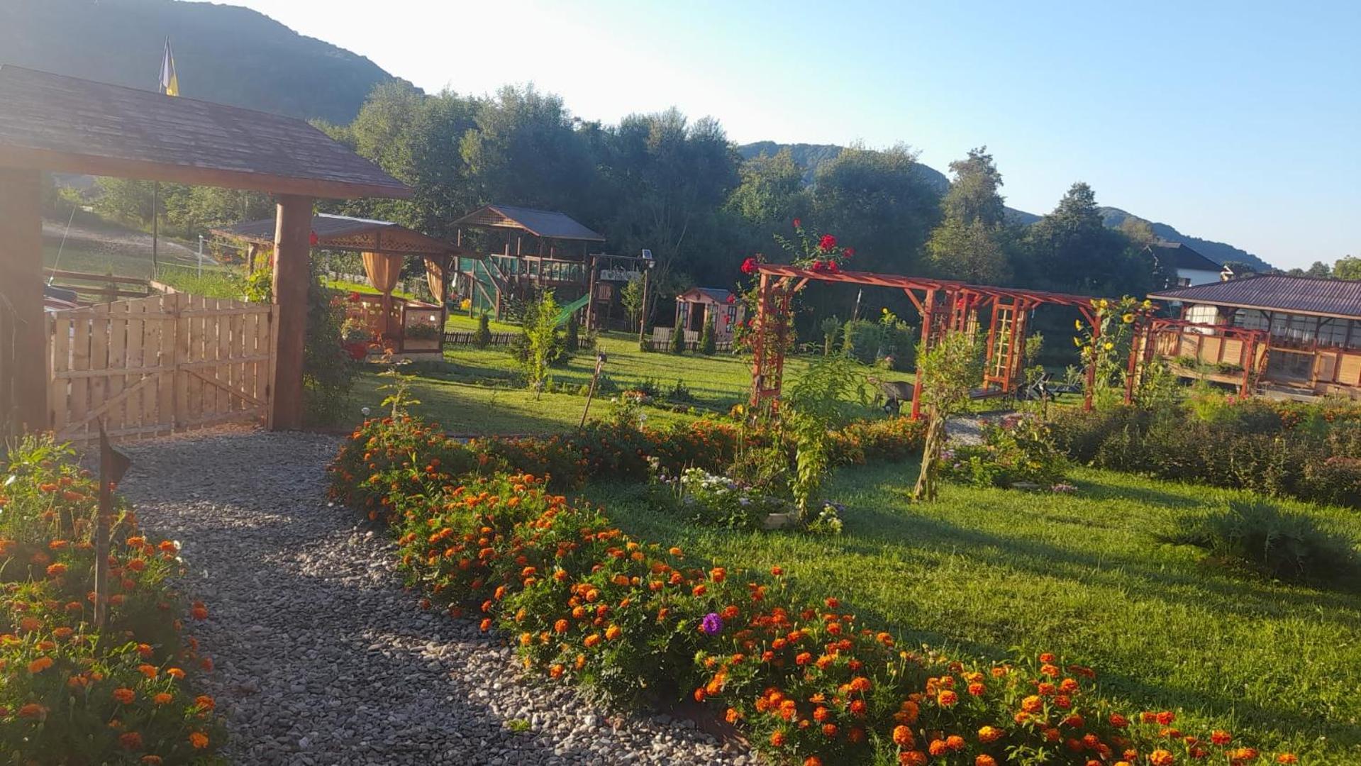 Curtea de ArgeşBaltina Parc Transfagarasan别墅 外观 照片