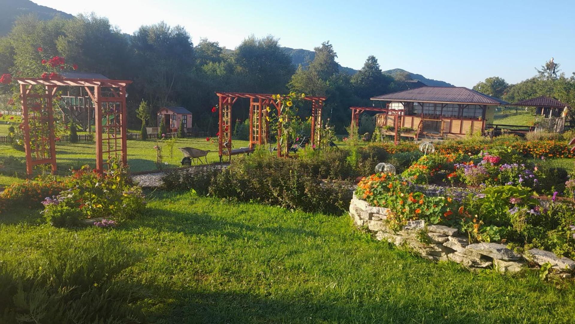 Curtea de ArgeşBaltina Parc Transfagarasan别墅 外观 照片